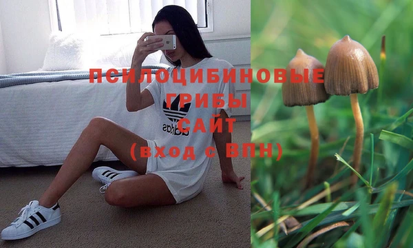 крисы Лихославль