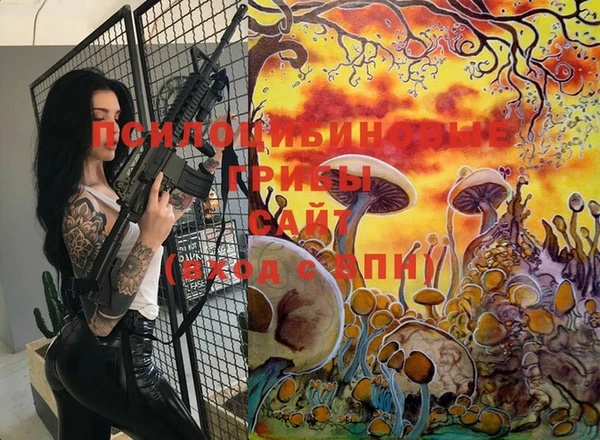 ГАЛЛЮЦИНОГЕННЫЕ ГРИБЫ Липки