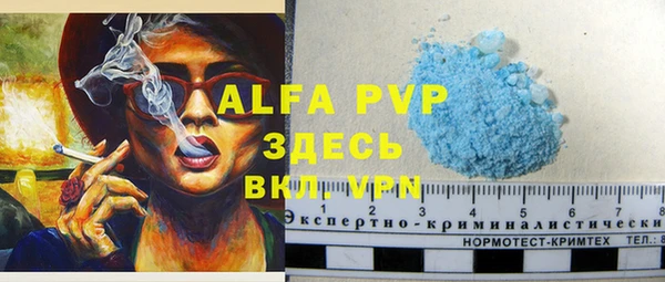 ГАЛЛЮЦИНОГЕННЫЕ ГРИБЫ Лагань