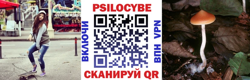 как найти   Чекалин  MEGA сайт  Псилоцибиновые грибы Magic Shrooms 